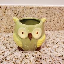 Green Owl Planter with Succulent, Ceramic Bird Plant Pot with live plant image 2