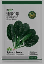 10 grams seeds, Jingyan Swift Spinach Seeds YQ-1036 - £20.17 GBP