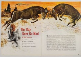 1960 Magazine Picture Whitetail Buck Deer Fighting Illustrated by Bob Kuhn - £12.07 GBP