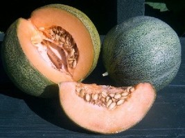 MELON PETIT GRIS DE RENNES, 25 SEEDS R - £13.02 GBP