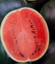 12500 Seeds Black Diamond Watermelon Seeds Large Watermelon NON-GMO - £60.65 GBP