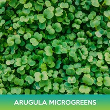 Slow Bolt Arugula Microgreens Bulk Seeds - $220.55 MXN
