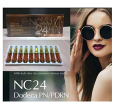 5 Box NC24 Dodeca PN/PDRN Wholesale Price Free Shipping To USA - $500.00