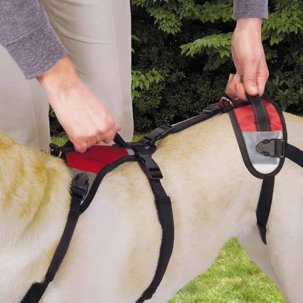 Lift & Go Leads for Dogs Vet Approved Total Pet Health Travel Dog Lead Harness  - $54.34