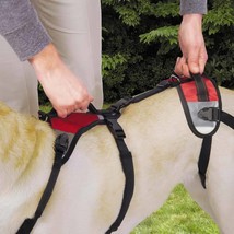 Lift &amp; Go Leads for Dogs Vet Approved Total Pet Health Travel Dog Lead Harness  - £43.43 GBP
