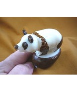 (TNE-BEA-PA-307A) Giant Panda BEAR TAGUA NUT Figurine Carving Vegetable ... - £20.93 GBP