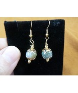 DP1-16g REAL DINOSAUR POOP 10mm bead dangle EARRINGS Utah ancient Dino C... - €14,49 EUR