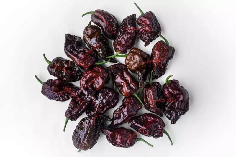 10 Seeds Chocolate Carolina Reaper Pepper Worlds Hottest Capsicum Chinense Chili - £10.56 GBP