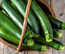 Grow In US 20 Dark Green Zucchini Squash Seeds Courgette Italian Zucchin... - £6.39 GBP