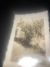 Lady smelling flower photograph circa 1912 - £7.60 GBP
