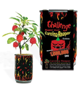 Super Hot Carolina Reaper Plant Kit - £8.78 GBP