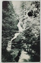 PA Upper and Middle Falls at Buck Hill Falls Penna Postcard N13 - $8.95