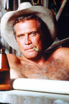 Lee Majors in The Fall Guy in bathtub wearing stetson 18x24 Poster - £18.84 GBP