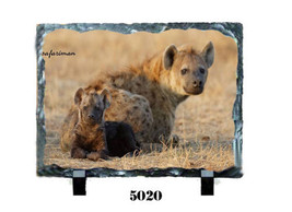 BABIES #5000 on a 6 x 8 Sublislate Plaque - $14.80