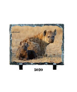 BABIES #5000 on a 6 x 8 Sublislate Plaque - $14.80