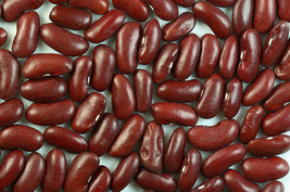 USA Store 45 Seeds Charlevois Dark Red Kidney Bean Chili Baked Phaseolus Vulgari - £7.22 GBP