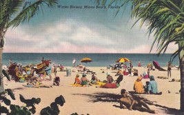Winter Riviera Miami Beach Scene Florida FL Postcard D55 - £2.34 GBP