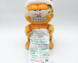Vtg Garfield Wish List Christmas 9&quot; Plush Santa Hat 1981 Dakin Made in K... - £14.76 GBP