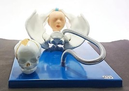 Child birth Demonstration model with pelvis and baby skull (Unbreakable ... - $175.23