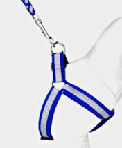 Dog Harness + Leash Set Blue Gray Braided Safety Reflective Stripes Smal... - $8.72