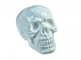 EUROPALMS Halloween Skull, 31x22x22cm - £28.19 GBP