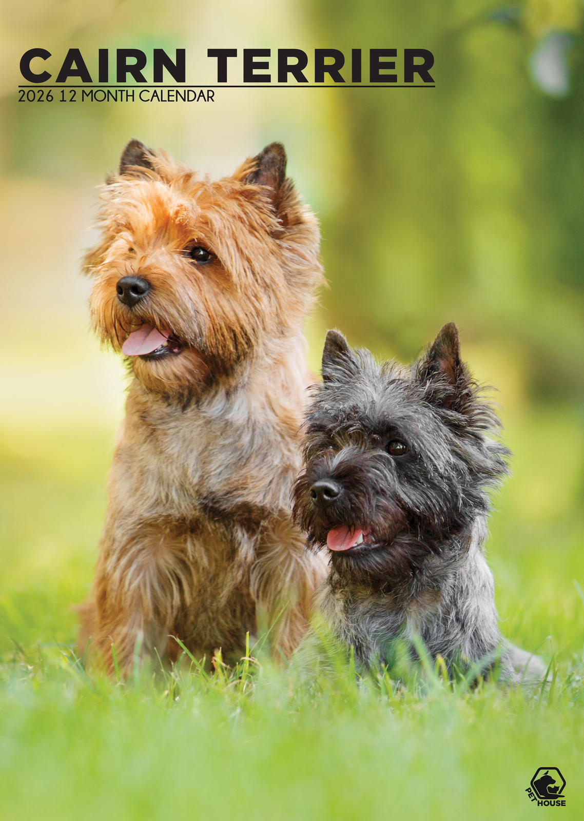 Cairn Terrier Calendar 2026 - $19.99