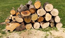 Large Truck Load of Boiler Firewood Campfire Split For Heating Mixed Wood - $100.00