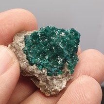 Beautiful Green Dioptase crystal specimen, Green Druzy crystals 65 carats - $1,224.04 MXN