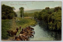 Russell PA The Mill Race Cows Drinking From River Postcard X29 - £15.69 GBP