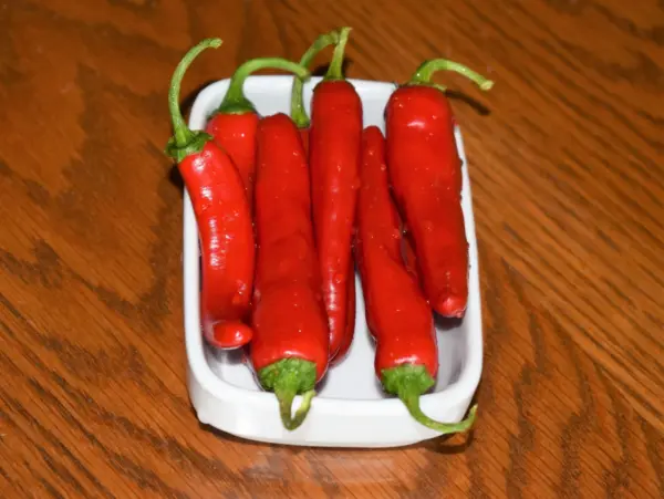 25 Giant Aconcagua Pepper Up To 12&quot; Long Caspsicum Annuum Vegetable Seed... - £6.29 GBP