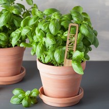Herb Garden Signs, Set of 6 Herb Name Stakes for Indoor or Outdoor Use - $6.99