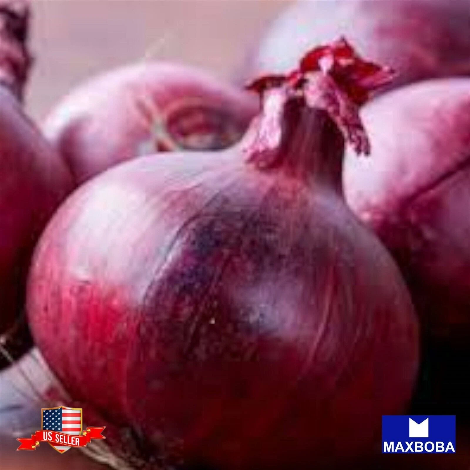 Onion  Red Creole 500 Fresh Seeds Non-GMO Heirloom Garden  BTGO 75% OFF - $5.56