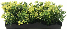 Penn Plax Small Yellow Bunch Plant: Enriching Aquarium Decor for Thrivin... - £2.35 GBP