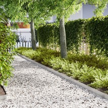 vidaXL Lawn Edgings 30 pcs 39.4x0.2x5.9 in Stainless Steel - $627.97 CAD