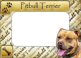 Pit Bull Terrier Picture Frame Fridge Magnet - £11.08 GBP