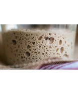 fresh sourdough starter from the wharf in san francisco @fresh RECIPE SI... - $10.75 CAD