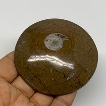 98.4g, 2.8&quot;x2.8&quot;x0.6&quot;, Goniatite (Button) Ammonite Polished Fossils, B30064 - £6.39 GBP