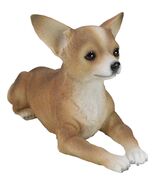 Realistic Shorthair Deer Head Chihuahua Dog Figurine With Glass Eyes 11&quot;... - $766.41 MXN