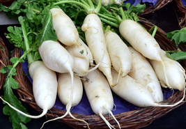 Carrot Seeds - Lunar White - Outdoor Living - Vegetable Seeds -  Free Shipping - $38.99