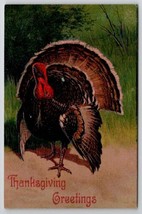 Thanksgiving Greetings Large Turkey On Dirt Path Postcard K29 - £5.55 GBP