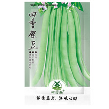 30 pcs Top Crop Green Bean Seeds | Heirloom Stringless Tender Vegetable Seed Fre - £5.34 GBP