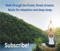 Forest and walk through the forest, forest streams, relaxation, meditation. - £11.05 GBP