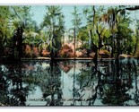 Magnolia Garden Lake Charleston South Carolina SC 1908 DB Postcard T5 - $2.92