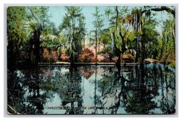 Magnolia Garden Lake Charleston South Carolina SC 1908 DB Postcard T5 - £2.33 GBP