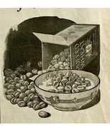 1924 Quaker Oats Grains of Deliciousness Cereal Advertisement Ephemera A... - $28.05 CAD