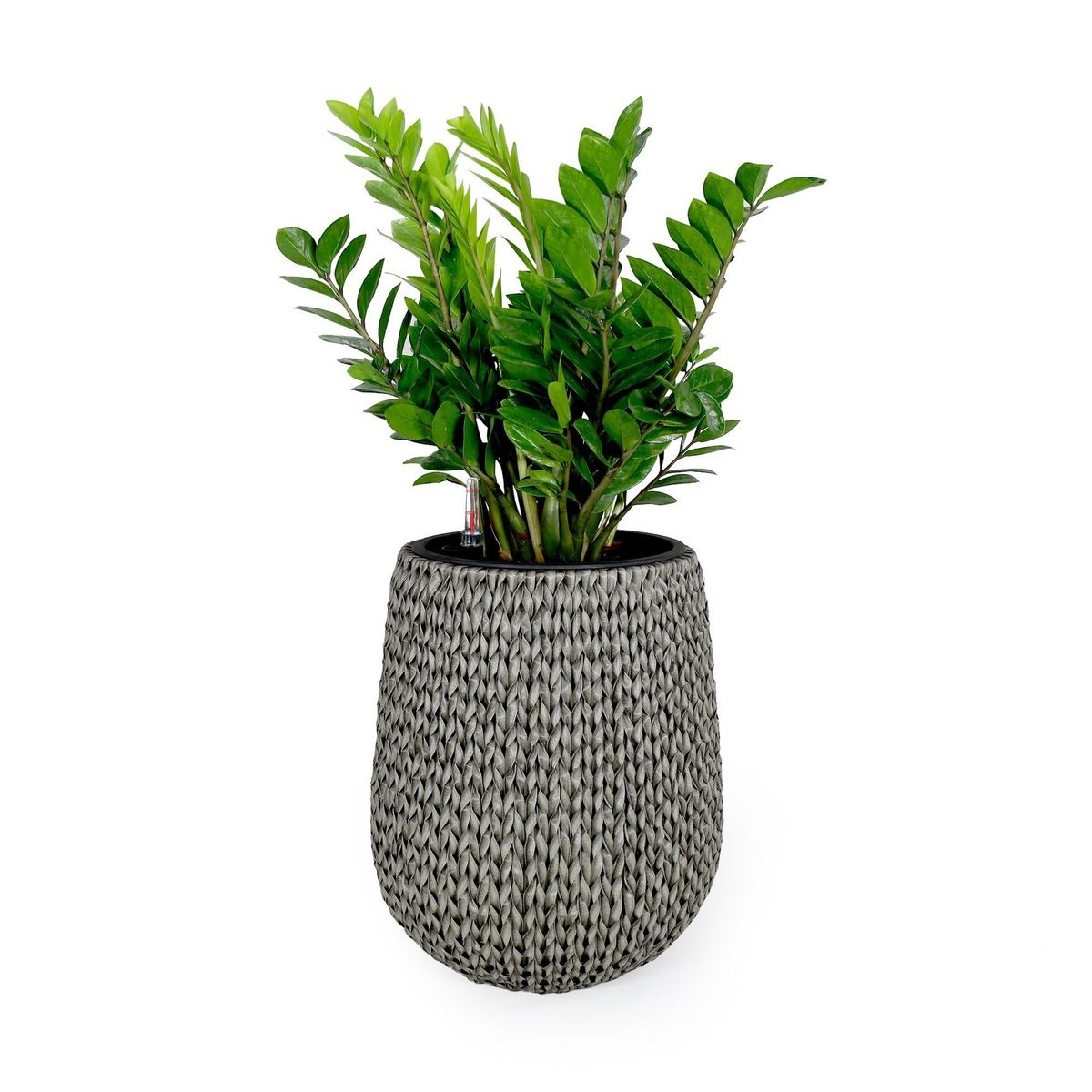 Catleza 17.3&quot; Self-Watering Wicker Planter - Garden Decoration Pot - Gra... - $129.64
