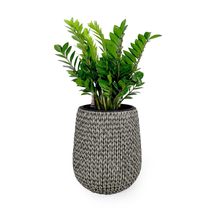 Catleza 17.3" Self-Watering Wicker Planter - Garden Decoration Pot - Gray - Roun - $129.64