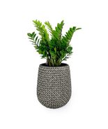 Catleza 17.3&quot; Self-Watering Wicker Planter - Garden Decoration Pot - Gra... - $2,378.13 MXN