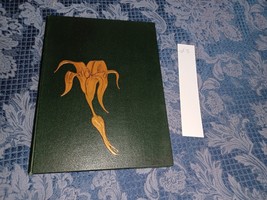 Port Allegany PA Port Allegany High School Yearbook Tiger Lily 1966 #3 - $24.74