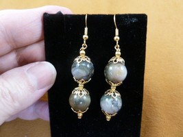 DP1-47-3 12mm REAL DINOSAUR POOP bead EARRINGS dangle Utah Dino Coprolit... - $431.54 MXN